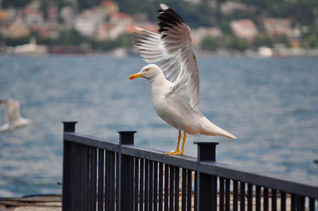 Enstantane Nedir ve Fotoğrafı Nasıl Etkiler?