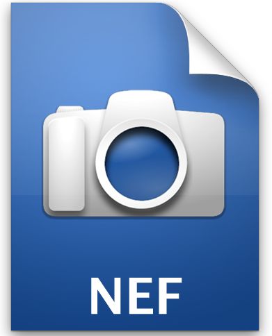 NEF (Nikon Elektronik Format) Nedir?