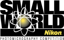 Nikon İle Mikro Dünya’dan Muhteşem Görüntüler [Nikon Small World 2012]