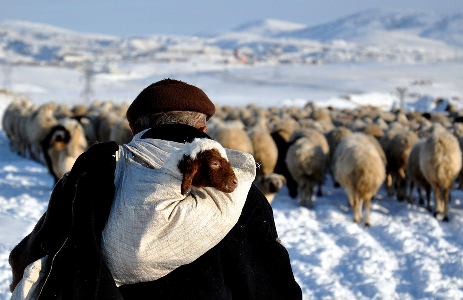 Anadolu Ajansı 2012 Yılının En İyi Fotoğrafları Belli Oldu
