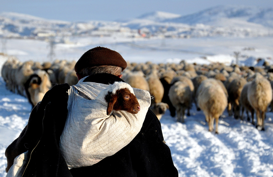 ANKARA'DA KIS