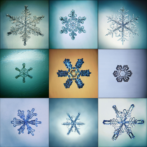 Büyüleyici Kar Tanelerinin Makro Çekilmiş Fotoğrafları