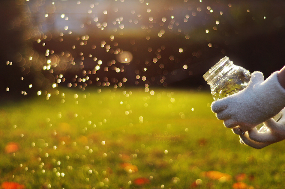 Daha Güzel Bokeh Fotoğraflar için 4 İpucu