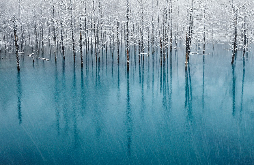 en güzel kış fotoğrafları