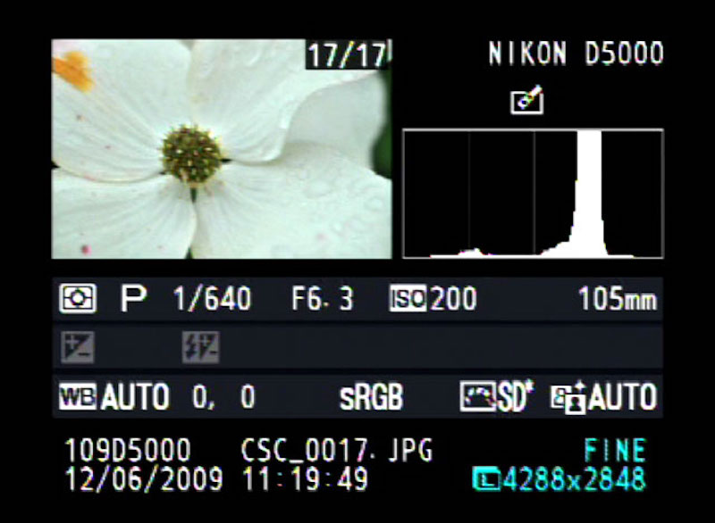 Histogram Nedir? Fotoğrafçılıkta Nasıl Kullanılır?