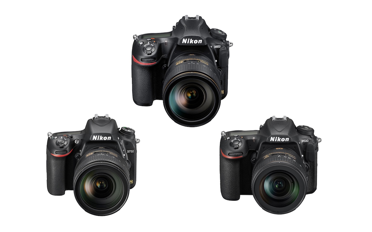 Nikon D500 vs Nikon D810