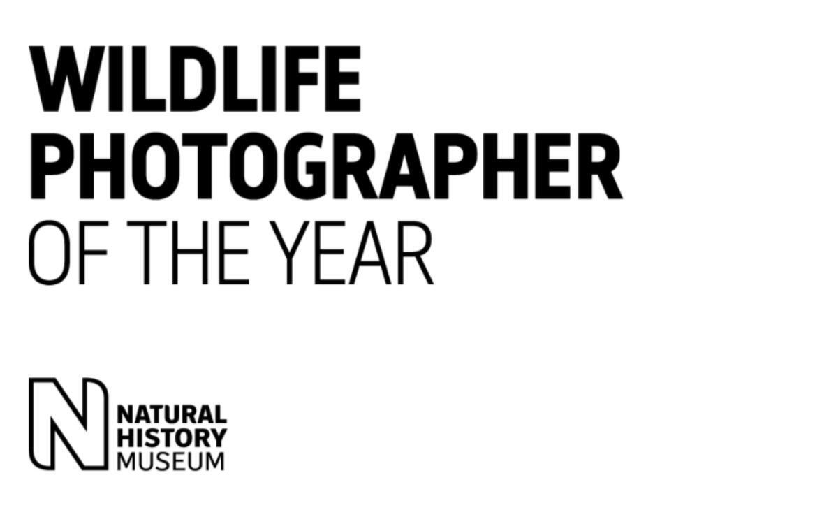 2020 Yılının En İyi Vahşi Yaşam Fotoğrafları